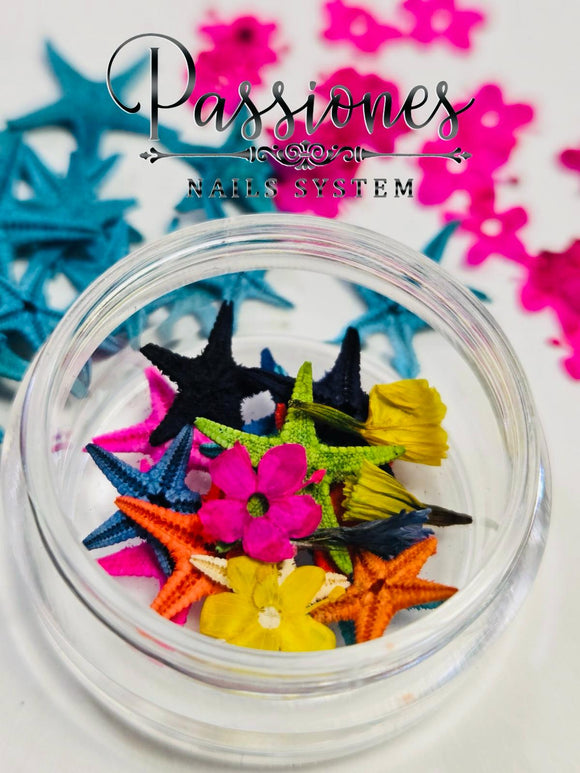 7E ESTRELLITAS DE MAR & FLORES SECAS MIX (verano)